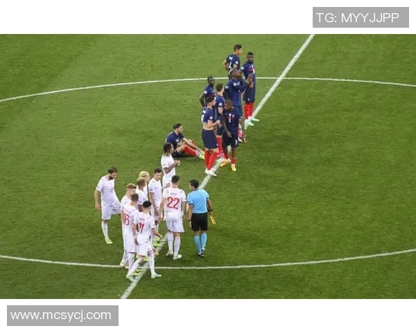 法国队现役足球明星的辉煌成就与未来发展展望